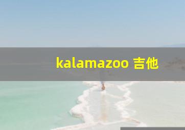 kalamazoo 吉他